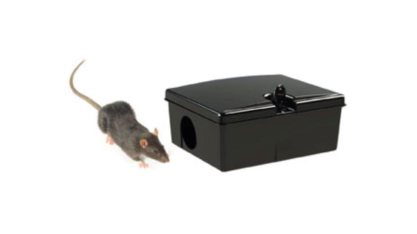 armadilha-plastica-para-ratos